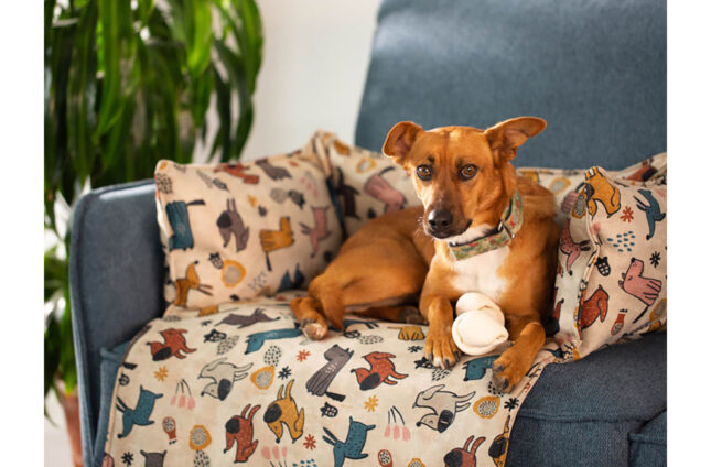 CAMA PARA MASCOTAS CUORE